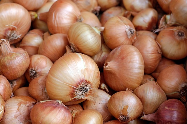 rozvoz cibule